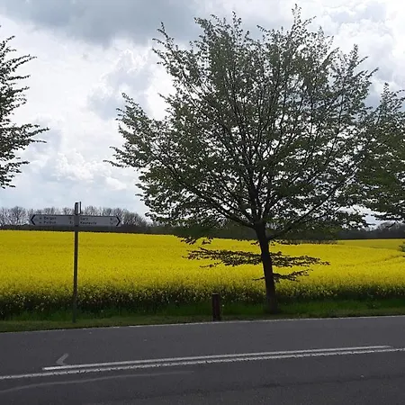 Haus Im Wind Apartment *